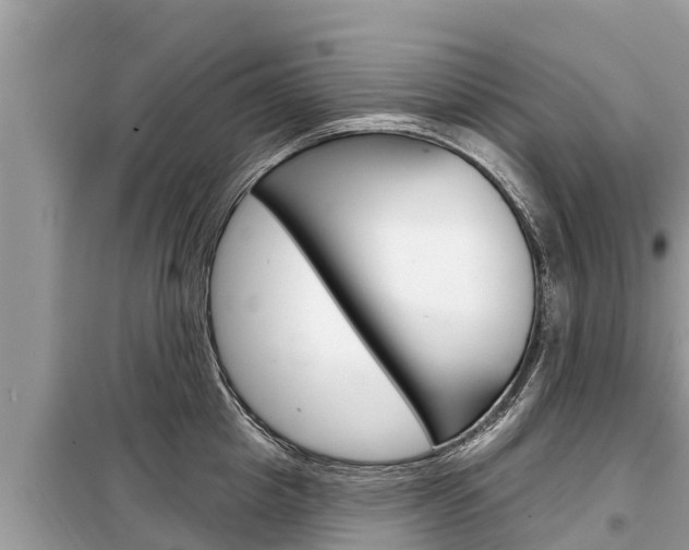 X0000099300857200805020755