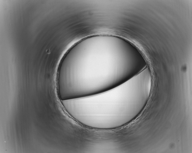 X0000099300864200805020755