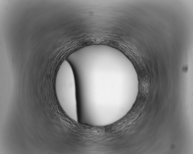 X0000099300865200805020754