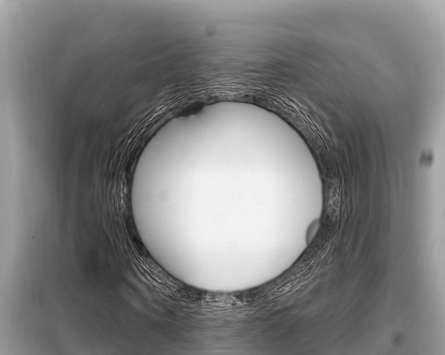 X0000099300866200805020754