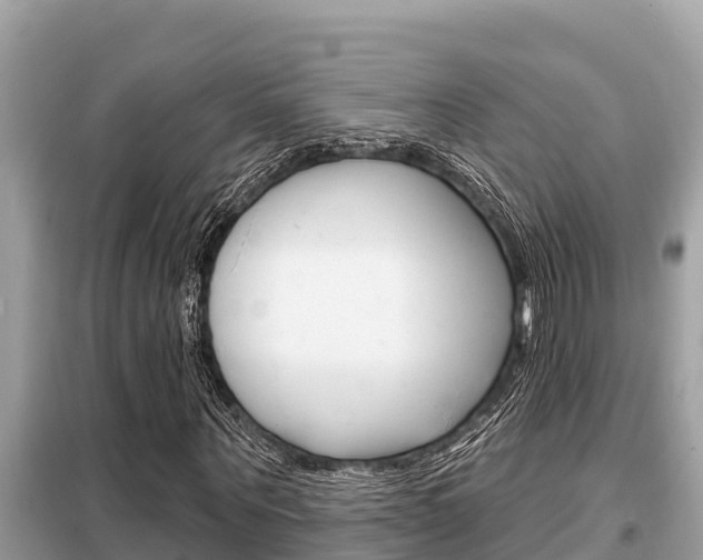 X0000099300867200805020754