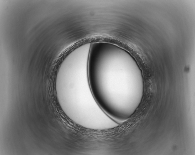 X0000099300872200805020754