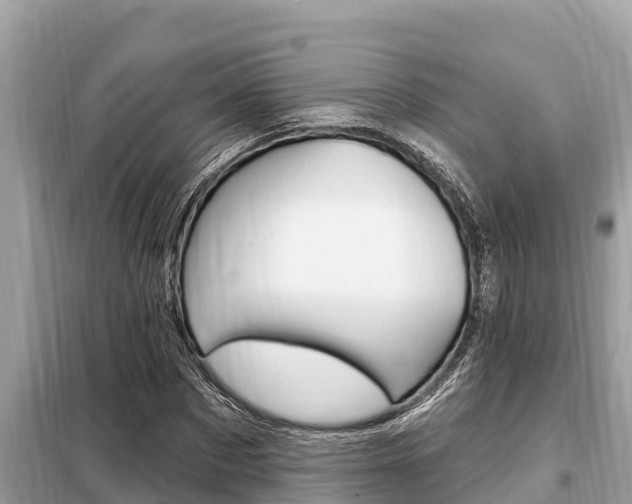 X0000099300873200805020754