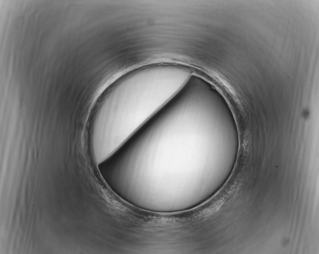 X0000099300877200805020754