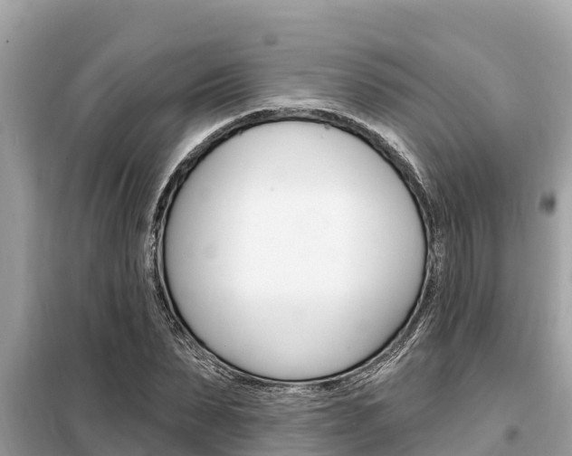X0000099300879200805020754