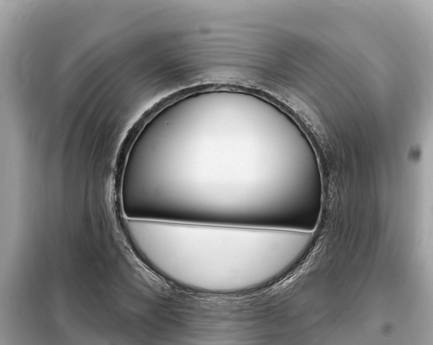 X0000099300880200805020754