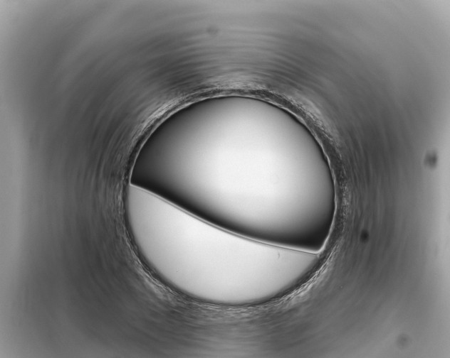 X0000099300881200805020754