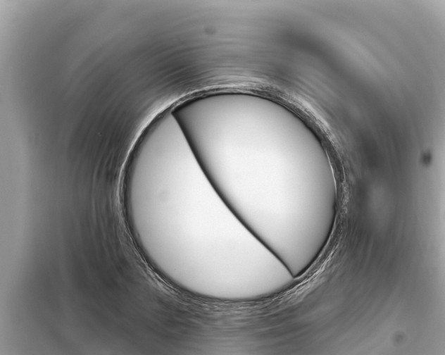 X0000099300883200805020754