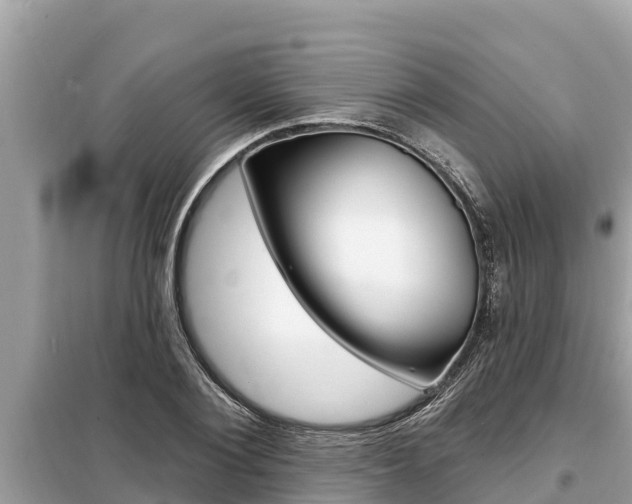 X0000099300884200805020754