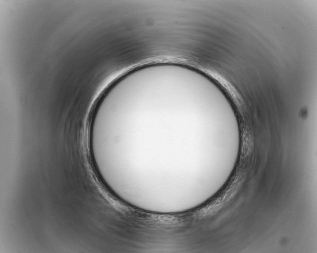 X0000099300886200805020754