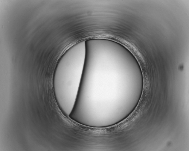 X0000099300889200805020754