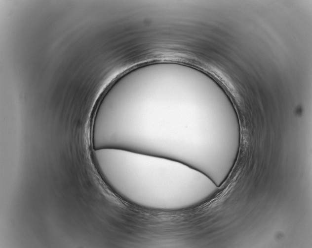 X0000099300891200805020754