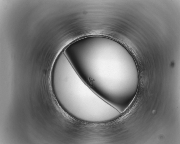 X0000099300892200805020754