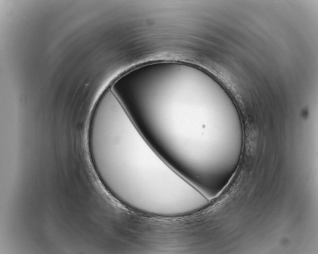 X0000099300896200805020754