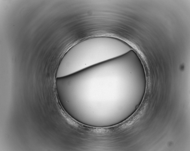 X0000099300897200805020754