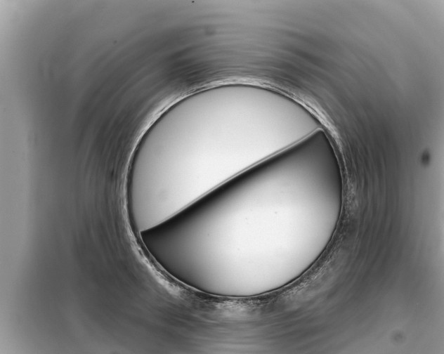X0000099300898200805020754