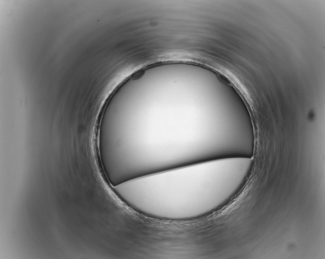 X0000099300901200805020754