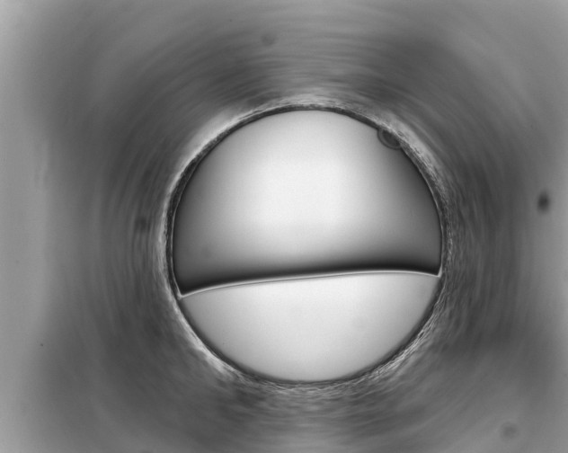 X0000099300902200805020754