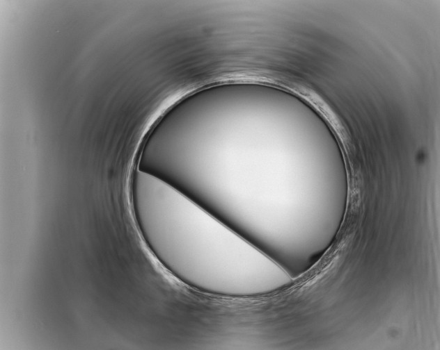 X0000099300909200805020754