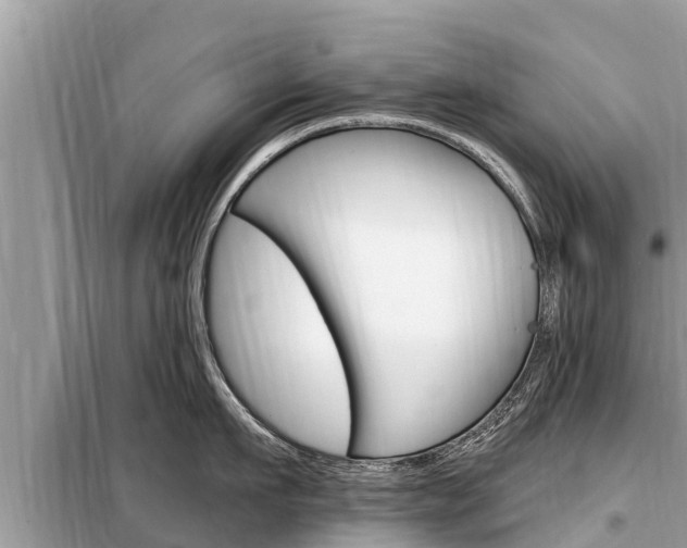X0000099300911200805020754