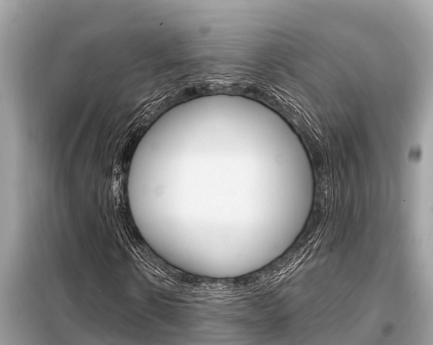 X0000099300914200805020753