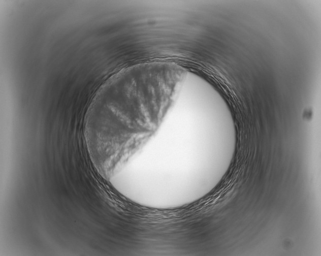 X0000099300915200805020753