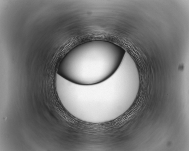 X0000099300916200805020753