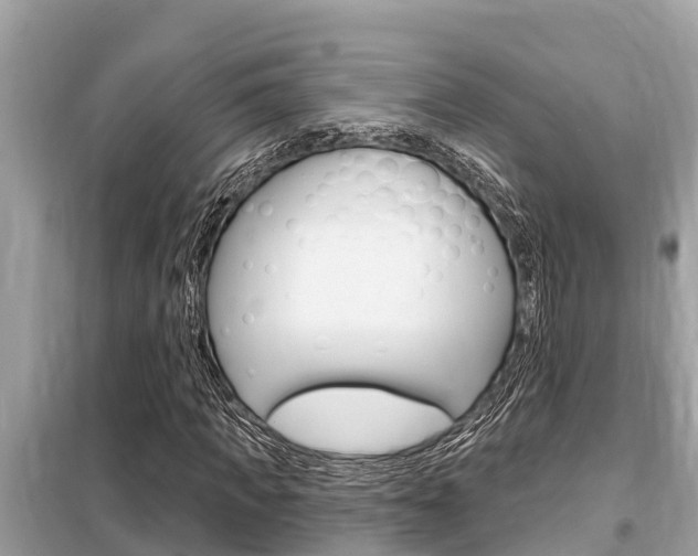 X0000099300917200805020753