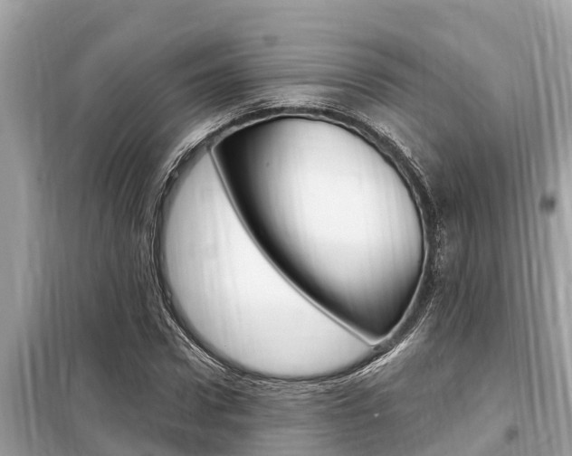 X0000099300922200805020753
