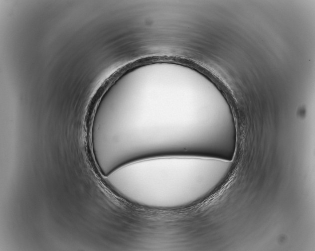 X0000099300927200805020753