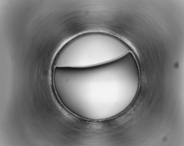 X0000099300935200805020753