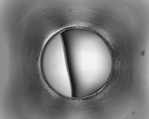 X0000099300936200805020753