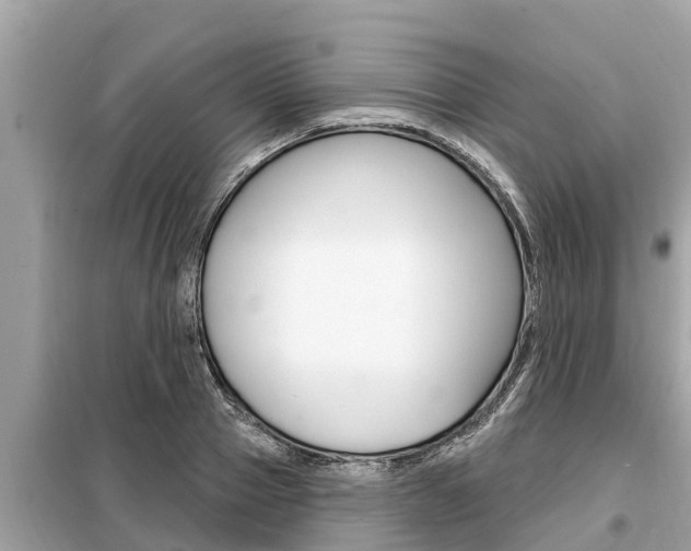 X0000099300937200805020753