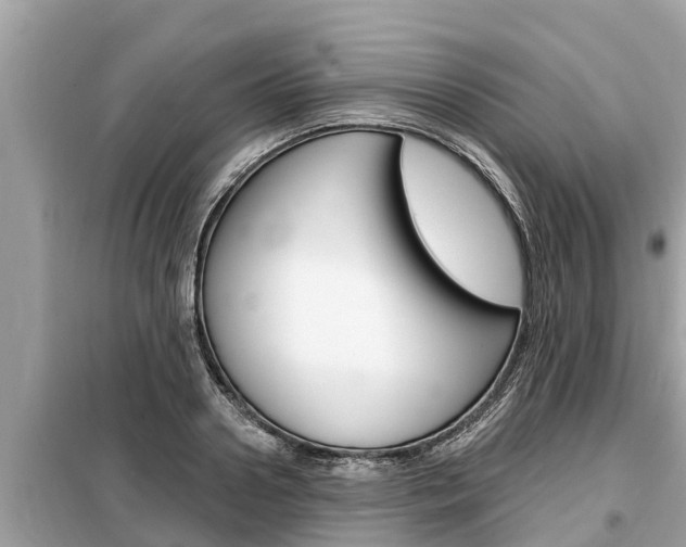 X0000099300938200805020753