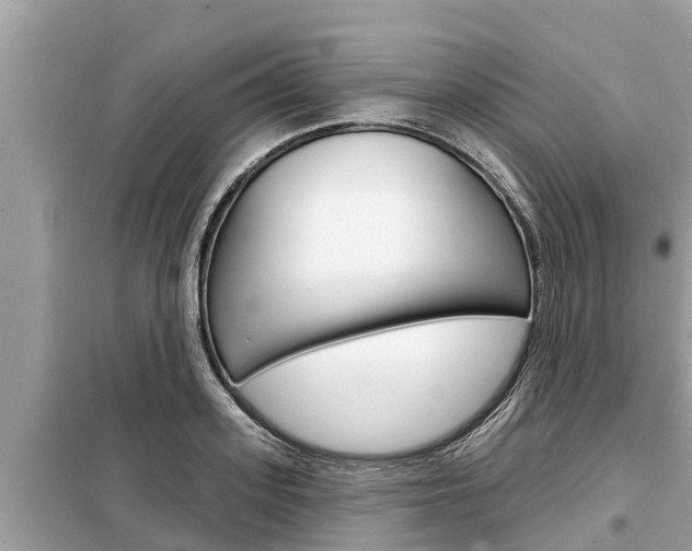 X0000099300939200805020753