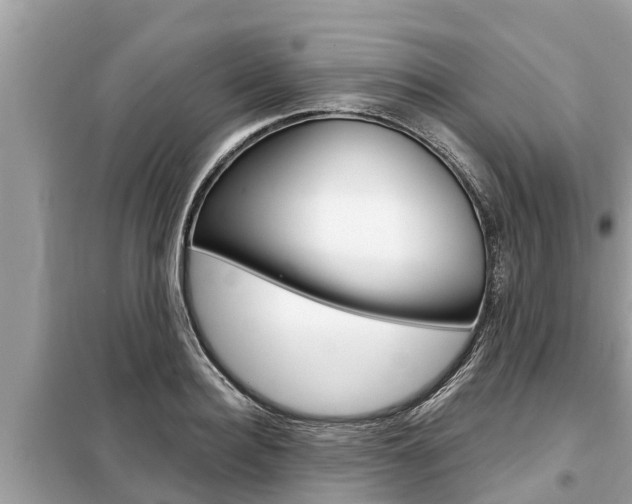 X0000099300940200805020753