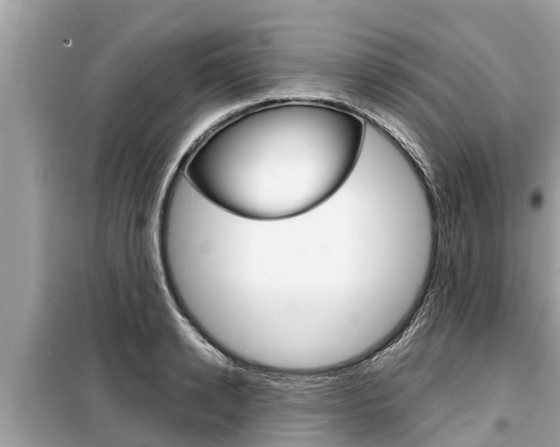 X0000099300942200805020754