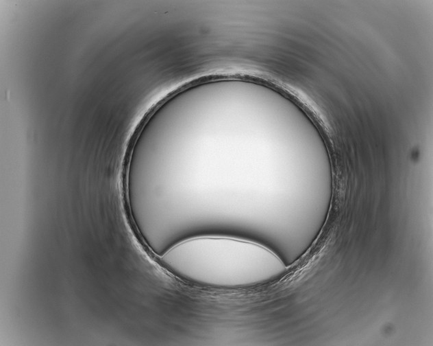 X0000099300943200805020754