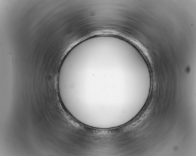 X0000099300945200805020754