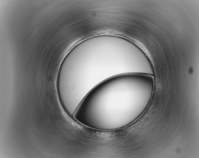X0000099300946200805020754