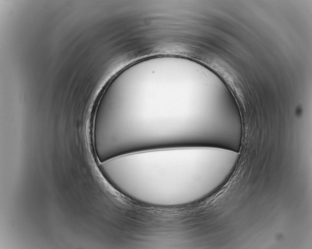 X0000099300947200805020754