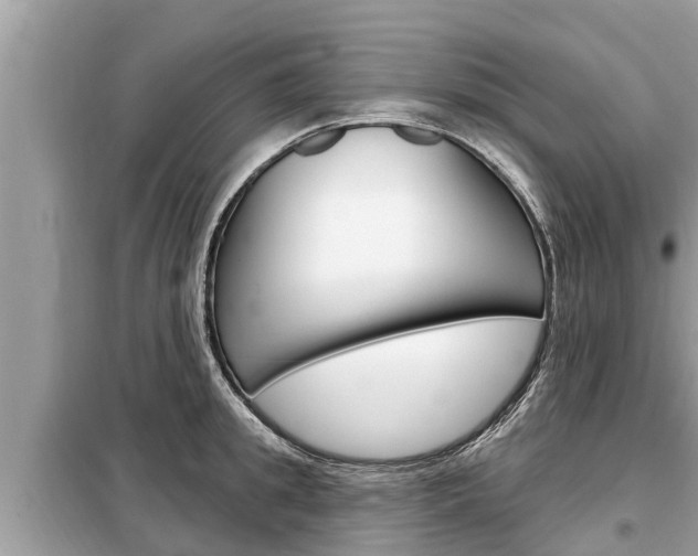 X0000099300949200805020754
