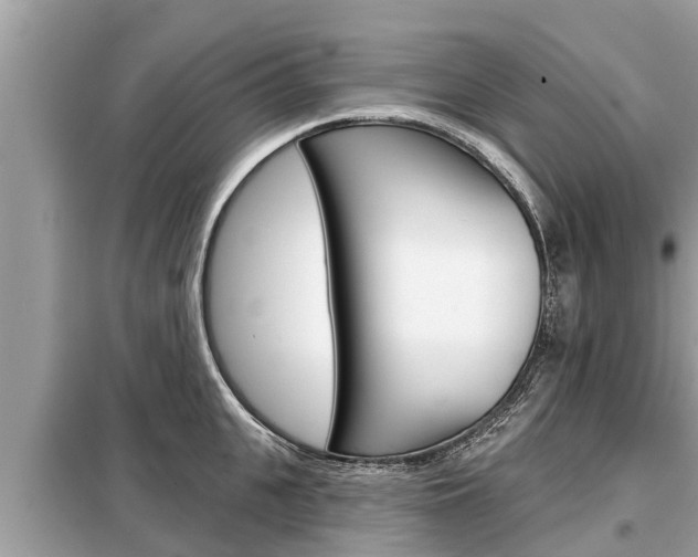 X0000099300951200805020754