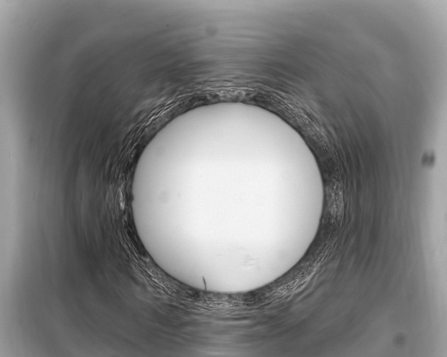 X0000099300962200805020753