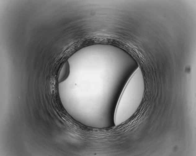 X0000099300964200805020753