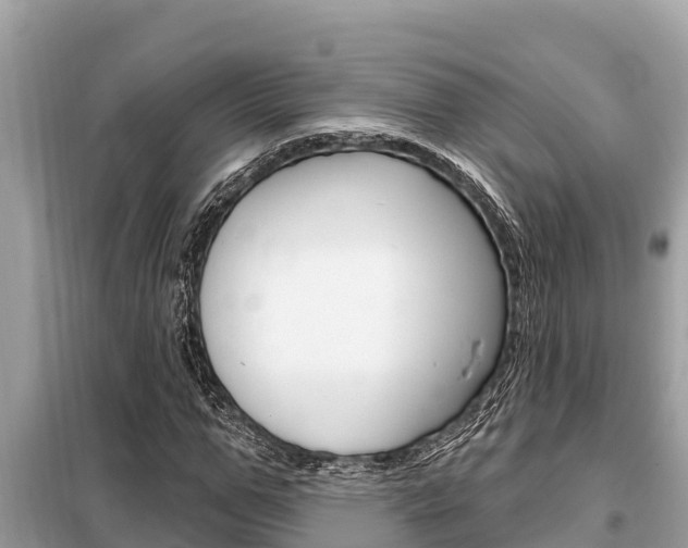X0000099300967200805020753