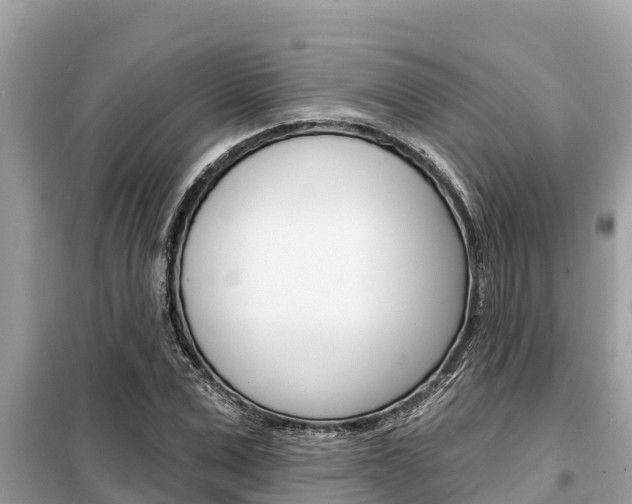 X0000099300975200805020753