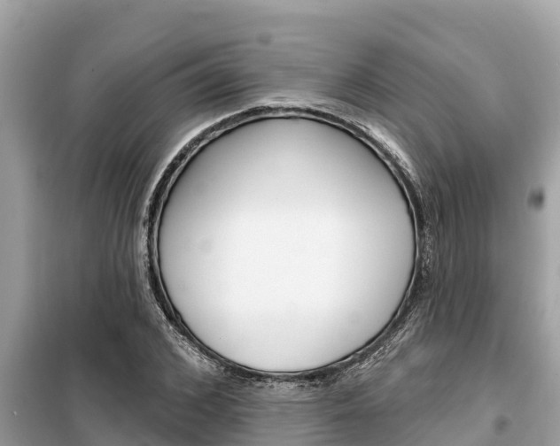 X0000099300976200805020753