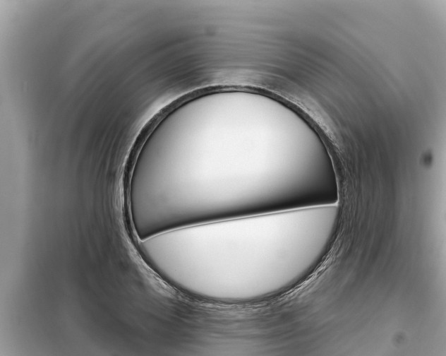 X0000099300980200805020753