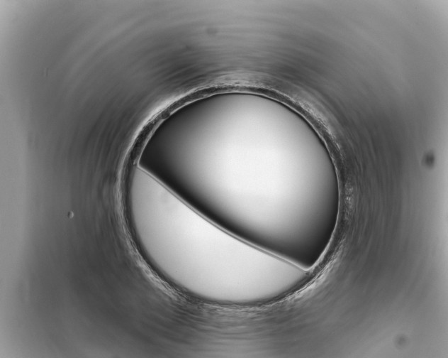 X0000099300981200805020753